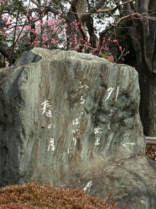 P3052431shuusei.JPG