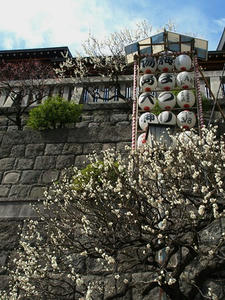 P3052451shuusei.JPG
