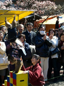 P3052480shuusei.JPG