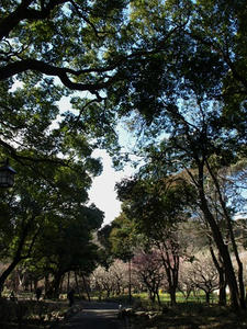 P3052590shuusei.JPG
