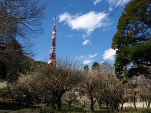 P3052568shuusei.JPG