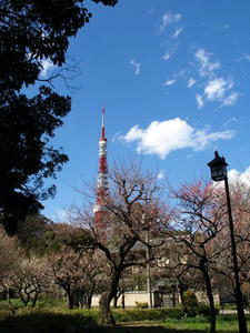 P3052563shuusei.JPG