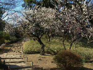 P3052622shuusei.JPG