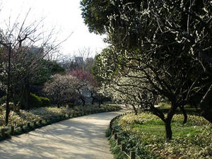 P3052654shuusei.JPG