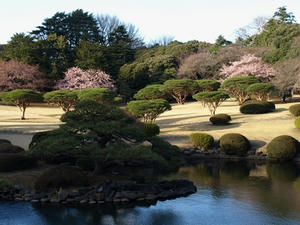 P3052753shuusei.JPG