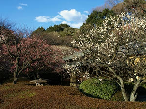 P3052790shuusei.JPG