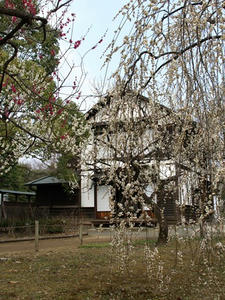 P3123048shuusei.JPG