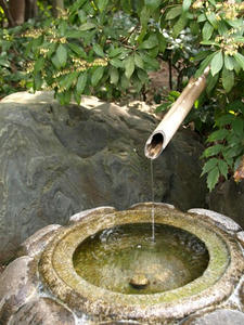 P3123025shuusei.JPG