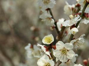 P3123212shuusei.JPG