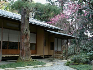 P3123366shuusei.JPG