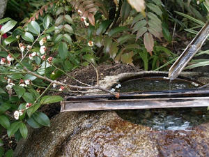 P3123439shuusei.JPG