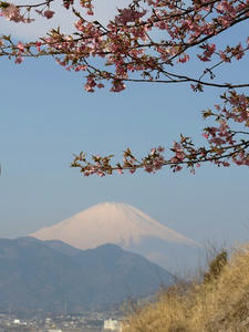 P3092801shuusei.JPG