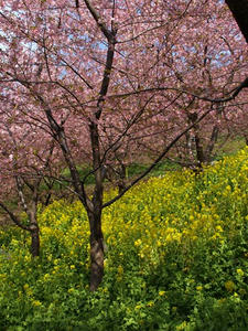 P3092805shuusei.JPG