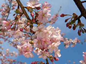 P3092834shuusei.JPG