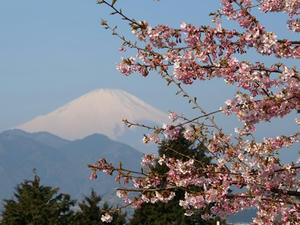 P3092823shuusei.JPG
