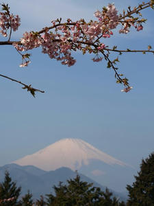 P3092827shuusei.JPG