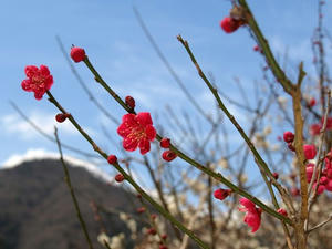 P3092919shuusei.JPG