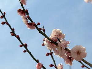 P3092994shuusei.JPG