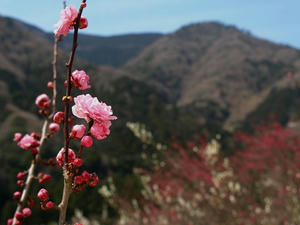P3092880shuusei.JPG