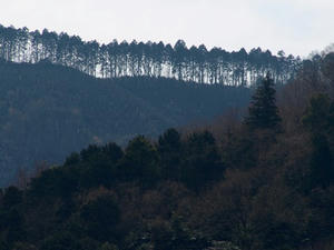 P3092888shuusei.JPG