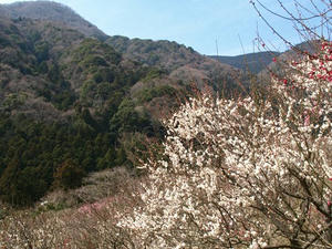 P3092875shuusei.JPG