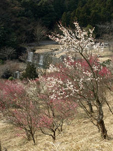 P3092899shuusei.JPG