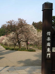 P3193469shuusei.JPG