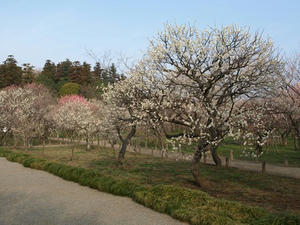 P3193470shuusei.JPG
