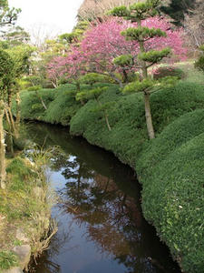 P3193587shuusei.JPG