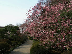 P3193566shuusei.JPG