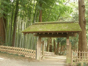 PB050042shuusei.JPG