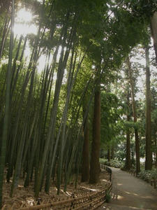 PB050056shuusei.jpg