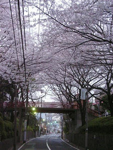 RIMG0011shuusei.JPG