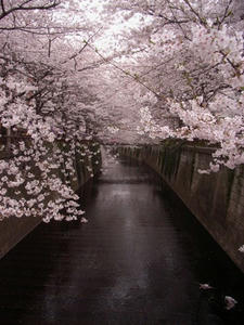RIMG0037shuusei.JPG