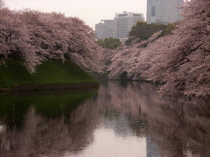 RIMG0057shuusei.JPG