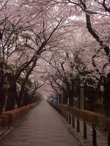 RIMG0088shuusei.JPG