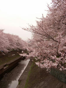 RIMG0237shuusei.JPG