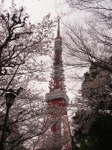 RIMG0275shuusei.JPG