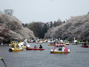 DSCF2012shuusei.jpg