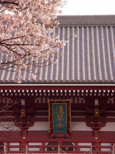 RIMG0004shuusei.jpg
