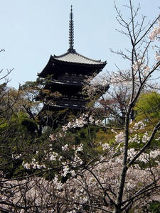 P4040100shuusei.JPG