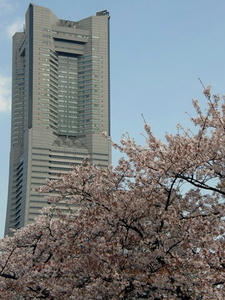 P4040124shuusei.JPG