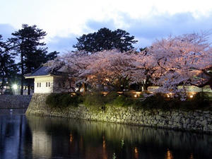 P4040534shuusei.JPG