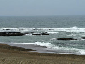 P3193677shuusei.JPG