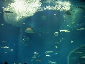 P3193737shuusei.JPG