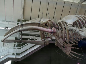 P3193798shuusei.JPG