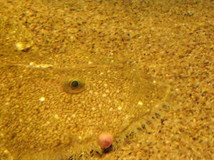 P3190006shuusei.JPG