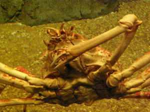P3190029shuusei.JPG
