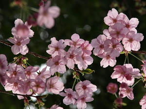 P3254783shuusei.JPG