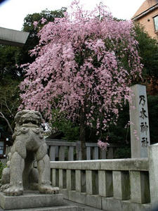 P3255011shuusei.JPG
